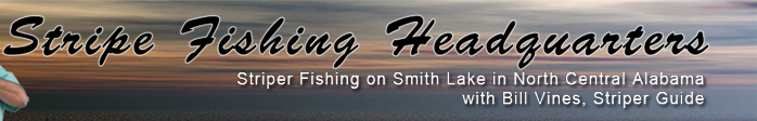 Striper Fishing