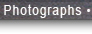 Photographs