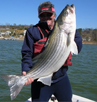 Big Stripe