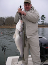Big Striper